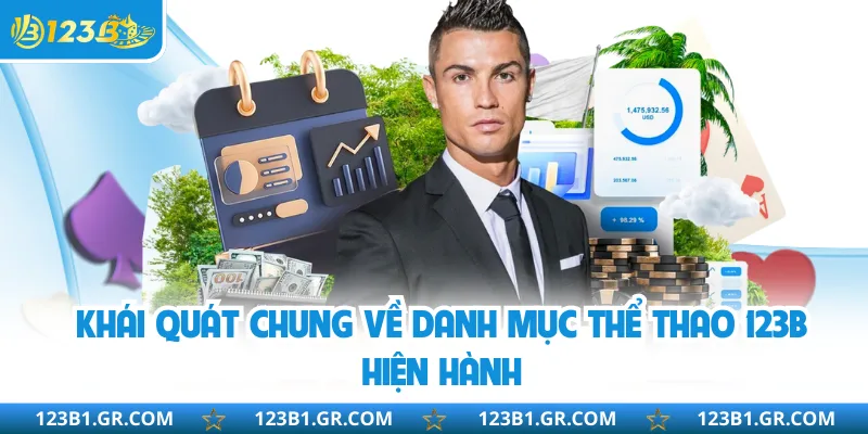 Khái quát chung về danh mục thể thao 123B hiện hành